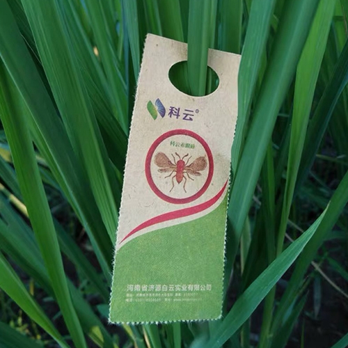 科云&reg;赤眼蜂