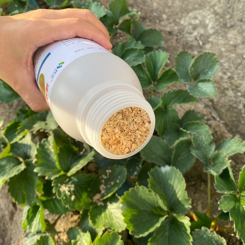 科云&reg;斯氏鈍綏螨