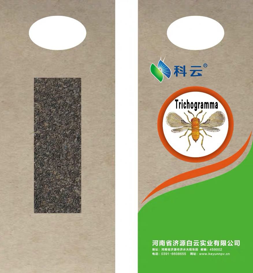 科云&reg;赤眼蜂