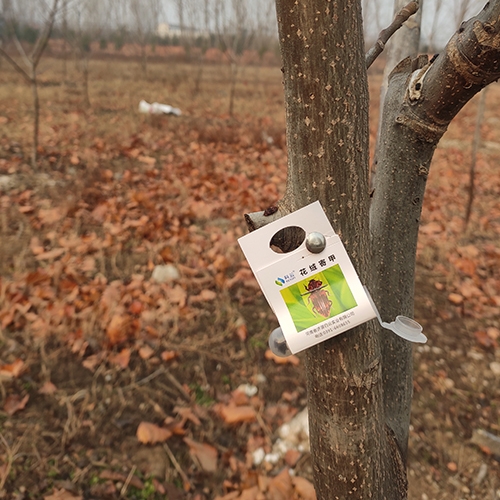 科云&reg;花絨寄甲