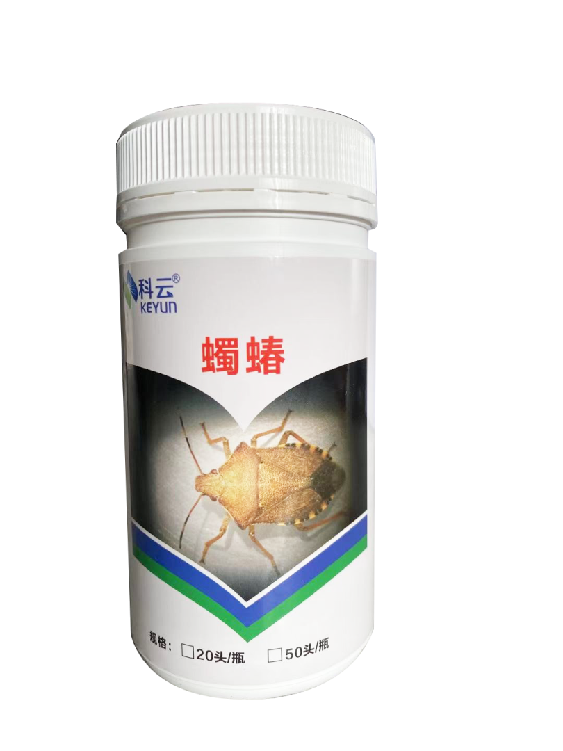 科云&reg;蠋蝽