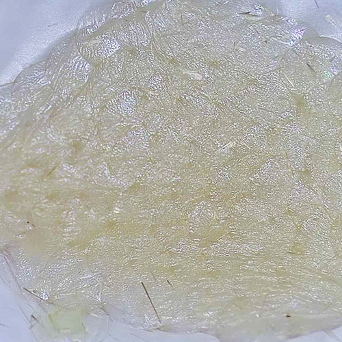 科云&reg; 實(shí)驗(yàn)昆蟲&mdash;&mdash;玉米螟